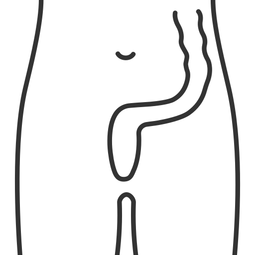 Anal Fistula