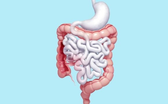 Colorectal Surgery
